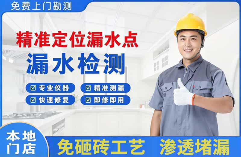 金台精准测漏点